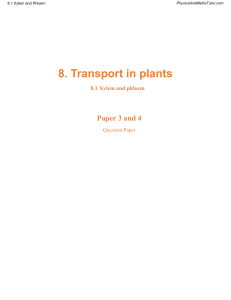 Xylem and Phloem Question Paper - Transport in Plants