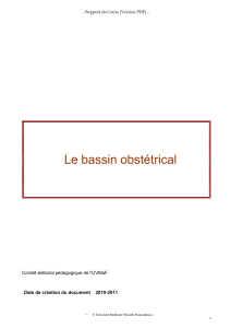 Anatomie du Bassin Obst&eacute;trical & Pelvim&eacute;trie