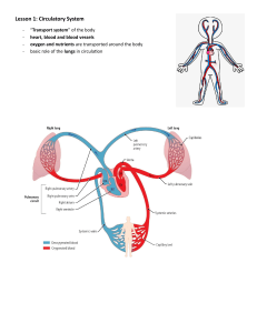 Lesson 1: Circulatory System - Heart, Blood, Vessels