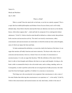 What is a Mind? Mind-Brain Relationship Essay