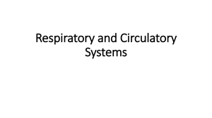 Respiratory and Circulatory Systems: Biology Guide