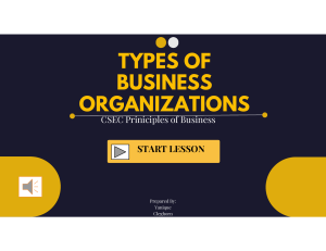 Types of Business Organizations Lesson