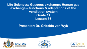 Grade 11 Life Sciences: Human Gaseous Exchange