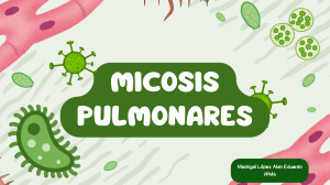 Micosis Pulmonares - Presentaci&oacute;n Acad&eacute;mica