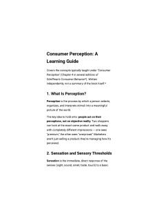 Consumer Perception Learning Guide