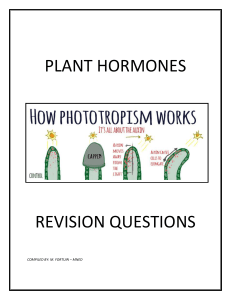 Plant Hormones Revision Questions