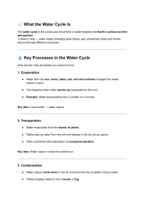 What the Water Cycle Is: Key Processes Explained