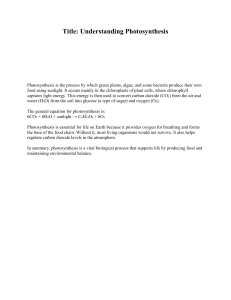 Understanding Photosynthesis: Process & Equation