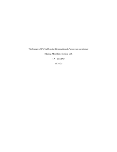 The Impact of 2% NaCl on Buckwheat Germination
