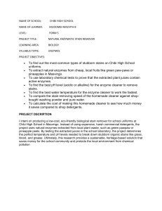 Natural Enzymatic Stain Remover Project