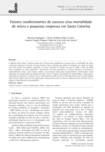 Fatores de sucesso e mortalidade de micro e pequenas empresas em Santa Catarina