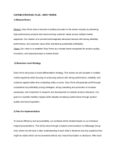 CAPSIM Strategic Plan - Grey Ferris