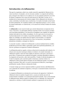 Introducci&oacute;n a la inflamaci&oacute;n: Conceptos y Respuestas Biol&oacute;gicas