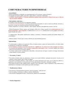 Corynebacterium diphtheriae: Bacteriolog&iacute;a y Enfermedad