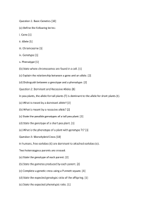 Basic Genetics Worksheet: Questions on Alleles, Genotype, Phenotype