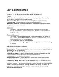 Homeostasis and Feedback Mechanisms Lesson