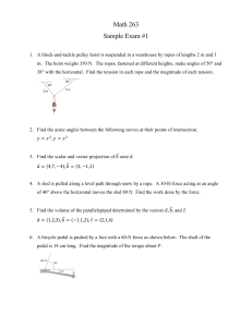 Math 263 Sample Exam #1