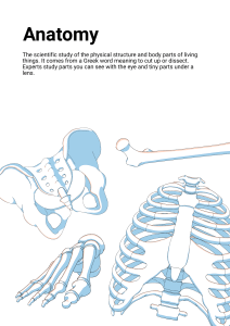 Anatomy: Study of Body Structure