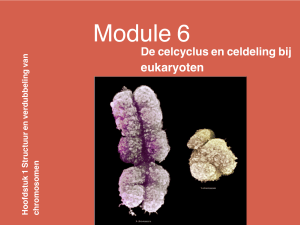 Module 6: Celcyclus en Celdeling bij Eukaryoten