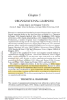 Organizational Learning: Theoretical Framework & Experience Dimensions
