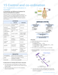 control-and-coordination-in-mammals-nervous-endocrine-systems