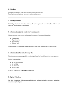 Digital Pathology and Inflammation Scoring in Histology