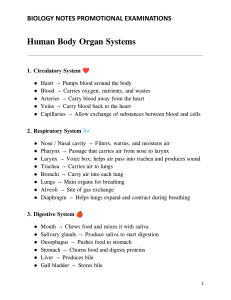 Biology Notes: Human Body Organ Systems