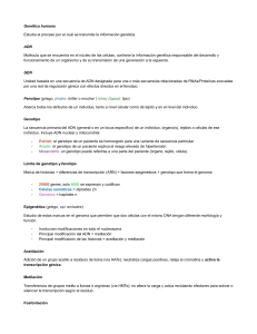 Gen&eacute;tica Humana: Definiciones y Conceptos Clave