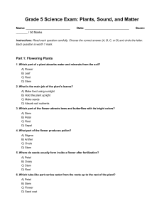Grade 5 Science Exam: Plants, Sound, Matter
