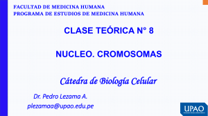 Clase de Biolog&iacute;a Celular: N&uacute;cleo y Cromosomas