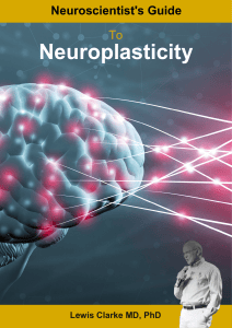 Neuroscientist's Guide to Neuroplasticity