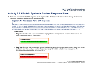 Protein Synthesis Student Response Sheet - Arabidopsis Plant
