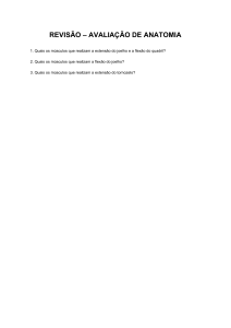 Revis&atilde;o de Anatomia: Perguntas sobre M&uacute;sculos
