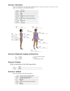 Medical Terminology Workbook Exercises
