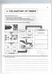 The Anatomy of Timber: Timber Production & Forest Products