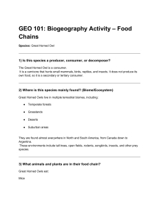 GEO 101 Biogeography Activity: Great Horned Owl Food Chains
