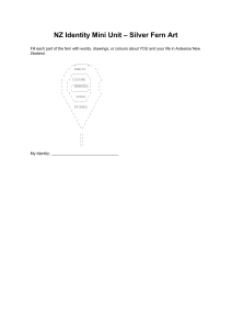 NZ Identity Mini Unit Silver Fern Art Worksheet