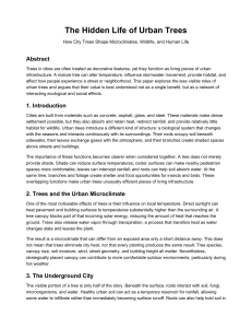 The Hidden Life of Urban Trees: How City Trees Shape Microclimates, Wildlife, and Human Life