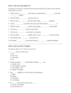 English Tense Exercises: Past, Present Perfect, Continuous
