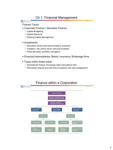 Chapter 1: Financial Management - Corporate Finance Basics