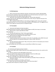 Molecular Biology Homework: DNA Replication & Transcription