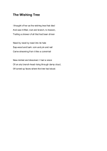 The Wishing Tree Poem Analysis