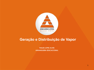 Gera&ccedil;&atilde;o e Distribui&ccedil;&atilde;o de Vapor: Caldeiras e Tipos