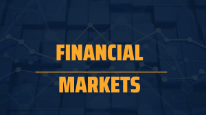 Financial Markets: Fundamentals and Systems