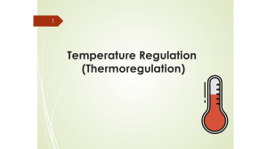 Temperature Regulation (Thermoregulation)