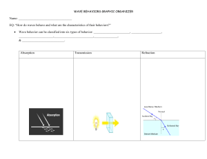 Wave Behaviors Graphic Organizer