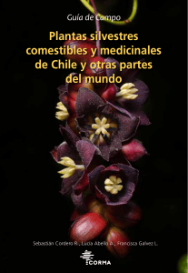 Gu&iacute;a de Campo: Plantas silvestres comestibles y medicinales de Chile