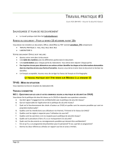 Travail Pratique #3 : Sauvegarde et Plan de Recouvrement en S&eacute;curit&eacute; R&eacute;seau