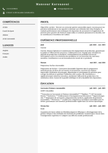 CV de Mansour Karouaoui - Carrosserie et Peinture Automobile