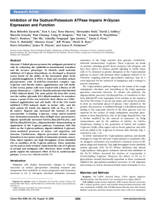Cardiac Glycosides Inhibit N-Glycan Pathway in Cancer Cells